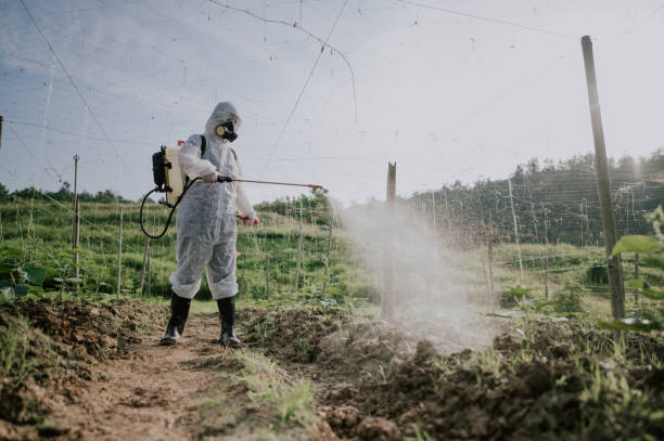 Best Mosquito Control Services  in Saginaw, MI