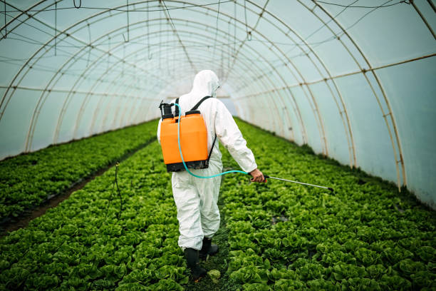 Best Affordable Pest Control Services  in Saginaw, MI