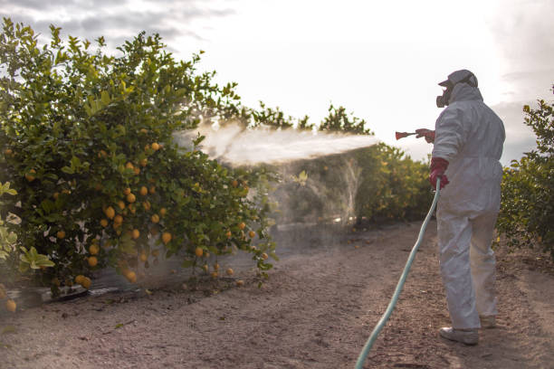 Best Residential Pest Control  in Saginaw, MI
