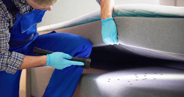 Best Wasp Removal Services  in Saginaw, MI