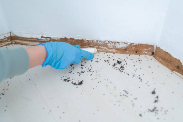 Best Exterminator Services  in Saginaw, MI
