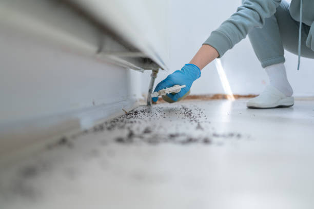 Best Ant Control Services  in Saginaw, MI